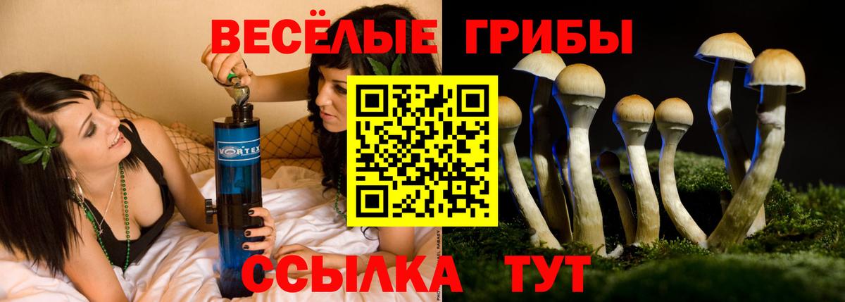 Лесной  Псилоцибиновые грибы Cubensis  Вход с VPN 