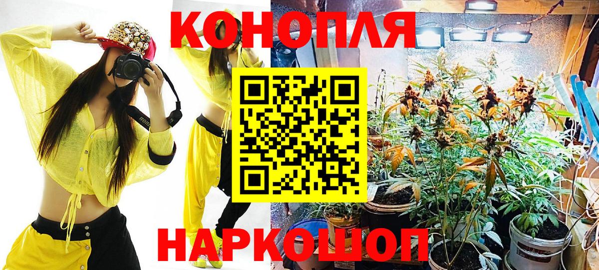 Шишки марихуана Bruce Banner  Канабис семена  Вход с VPN  Лесной  Каннабис марихуана  Каннабис тримм 